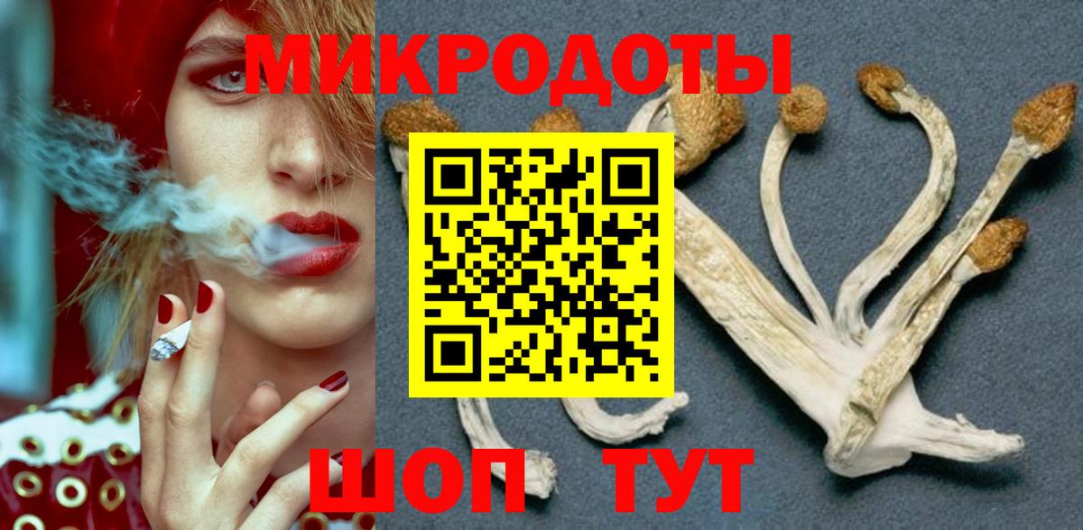 Тула  Псилоцибиновые грибы мухоморы  купить наркоту  Вход с VPN  Псилоцибиновые грибы Psilocybe 
