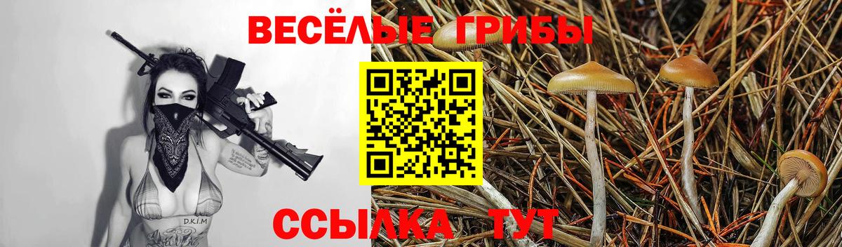 Псилоцибиновые грибы MAGIC MUSHROOMS Тула